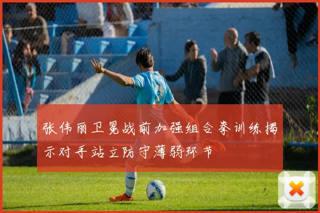 张伟丽卫冕战前加强组合拳训练揭示对手站立防守薄弱环节